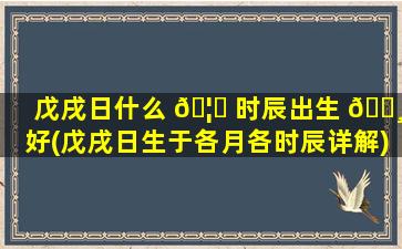 戊戌日什么 🦉 时辰出生 🌸 好(戊戌日生于各月各时辰详解)